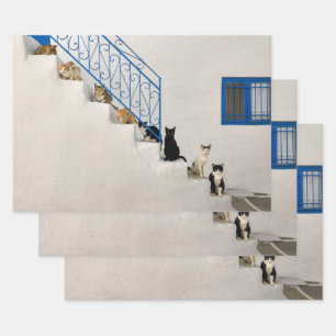 Viele Katzen auf einer weißen Treppe in einem gri Geschenkpapier Set