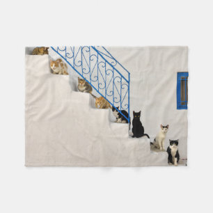 Viele Katzen auf einer weißen Treppe in einem grie Fleecedecke