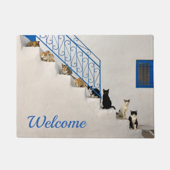 Viele Katzen auf einer weißen Treppe in einem grie Fußmatte (Vorderseite)