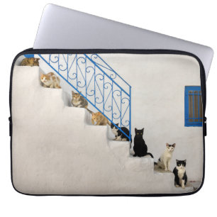 Viele Katzen auf einer weißen Treppe in einem grie Laptopschutzhülle