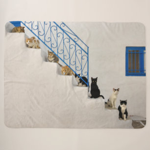 Viele Katzen auf einer weißen Treppe in einem grie Sherpadecke