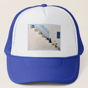 Viele Katzen auf einer weißen Treppe in einem grie Truckerkappe