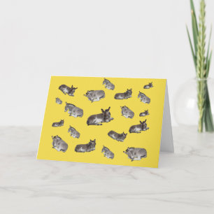 Viele kleine Donkeys Karte