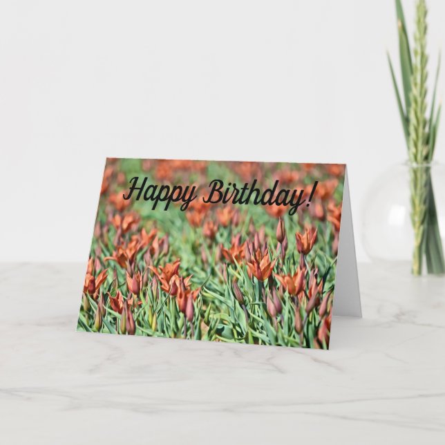 Viele Orange Tulips Geburtskarte Karte (Vorderseite)