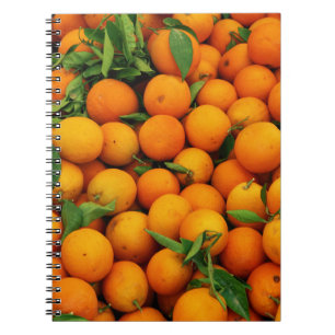 Viele Orangen Notizblock