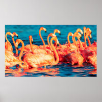 Viele rosa Korallen schöne wilde Flamingos in blau