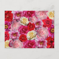 viele Rose Postkarte