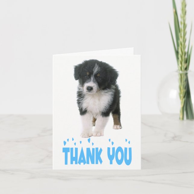 Vielen Dank an Australian Shepherd Puppy Dog Dankeskarte (Vorderseite)