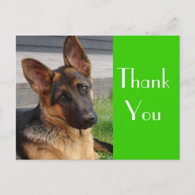 Vielen Dank an die deutsche Schäferpuppy-Dog-Postk Postkarte (Vorderseite)