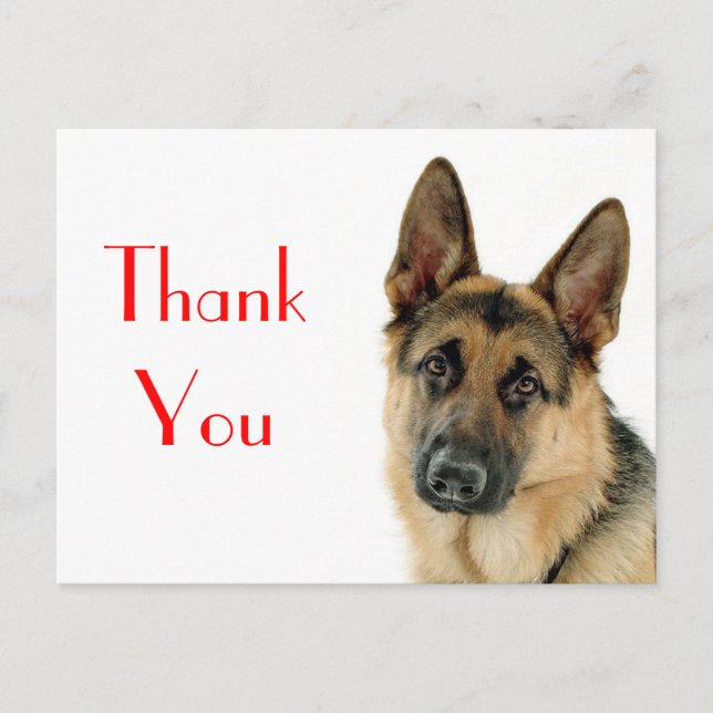 Vielen Dank an die deutsche Schäferpuppy-Dog-Postk Postkarte (Vorderseite)