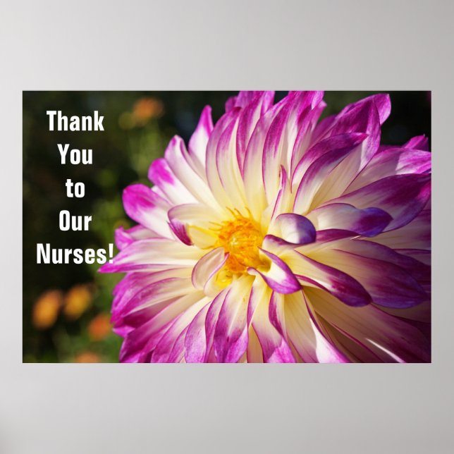 Vielen Dank an unsere Krankenpfleger-Krankenpflege Poster (Vorne)