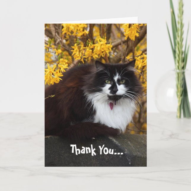 Vielen Dank Autumn Cat Grußkarte Dankeskarte (Vorderseite)