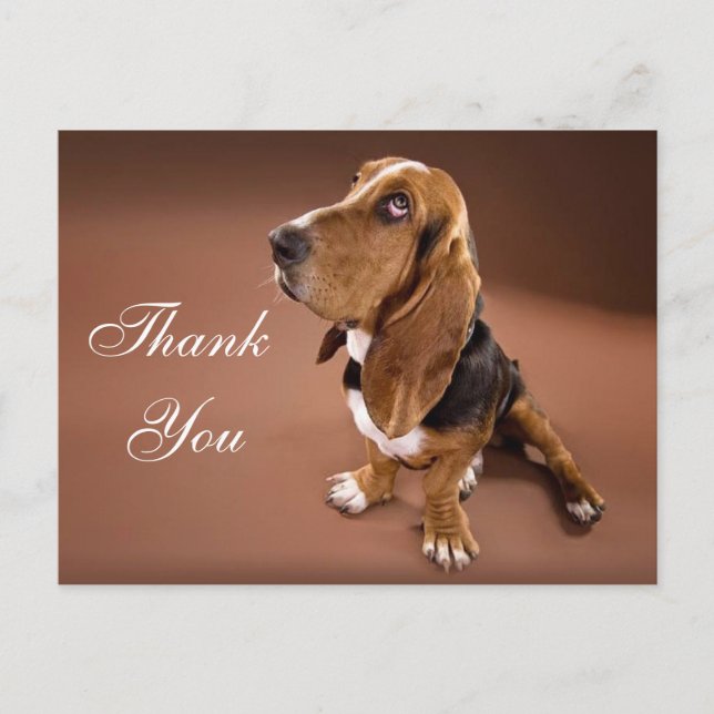 Vielen Dank Basset Hound Grußkarte Postkarte (Vorderseite)