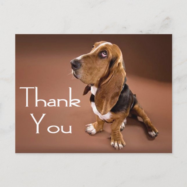 Vielen Dank Basset Hound Grußkarte Postkarte (Vorderseite)