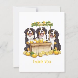 Vielen Dank Bernese Mountain Hunde Lemonade Stand Postkarte