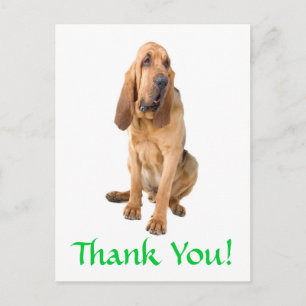 Vielen Dank Bloodhound Hund Gruß Postkarte