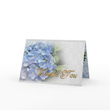 Vielen Dank, Blue Hydrangeas