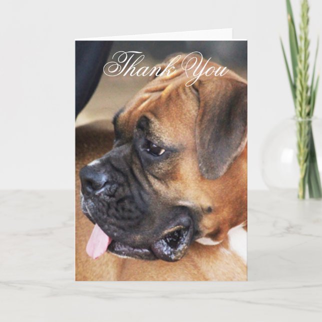 Vielen Dank Boxer Hund Grußkarte Dankeskarte (Vorderseite)