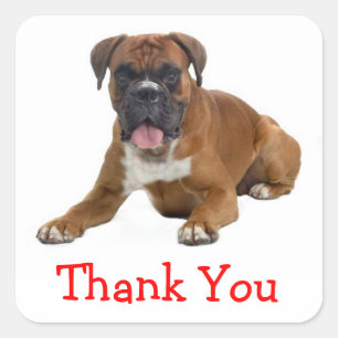 Vielen Dank Boxer Puppy Dog Grußaufkleber Quadratischer Aufkleber