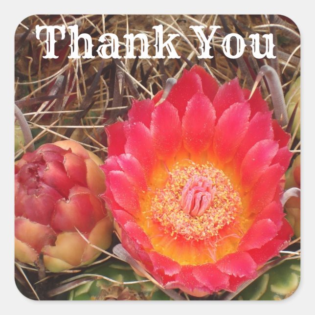 Vielen Dank Bright Cactus Blume Foto Wertschätzung Quadratischer Aufkleber (Vorderseite)
