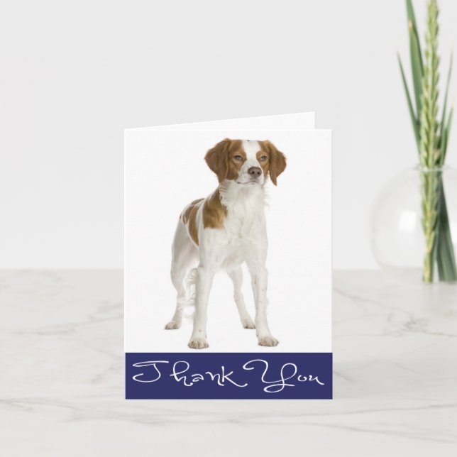 Vielen Dank Brittany Spanisch Puppy Dog Card Dankeskarte (Vorderseite)