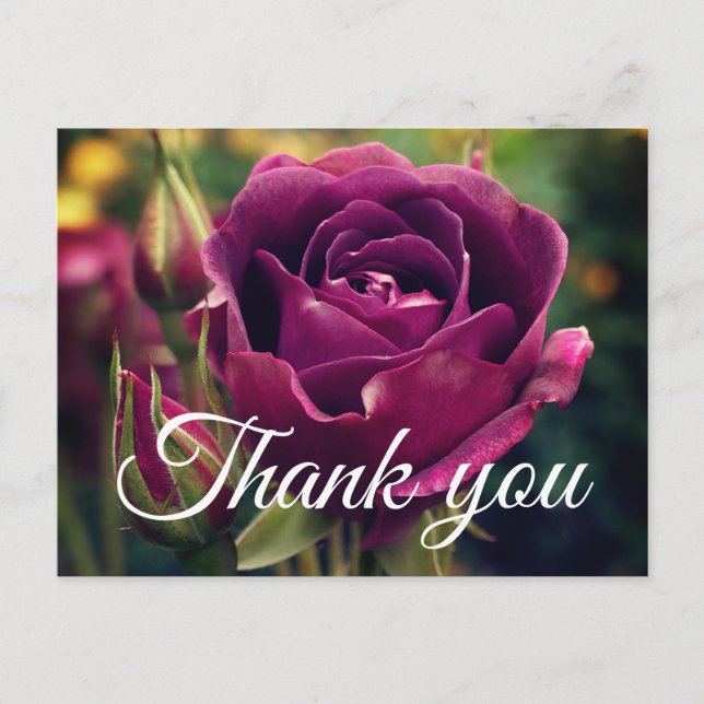 Vielen Dank, Burgundy Iceberg Rose #1 Postcard Postkarte (Vorderseite)
