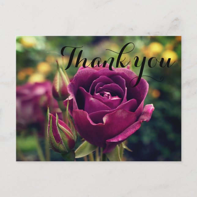 Vielen Dank, Burgundy Iceberg Rose #1 Postcard Postkarte (Vorderseite)