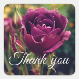 Vielen Dank, Burgundy Iceberg Rose #1 Stickers