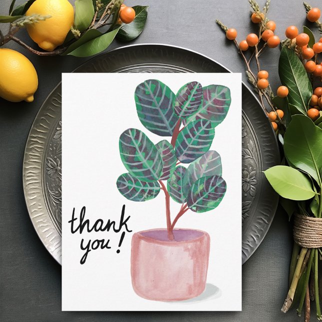 Vielen Dank Calathea Gebet Pflanze Watercolor Postkarte (Thank you Calathea Prayer Plant Watercolor Postcard
)