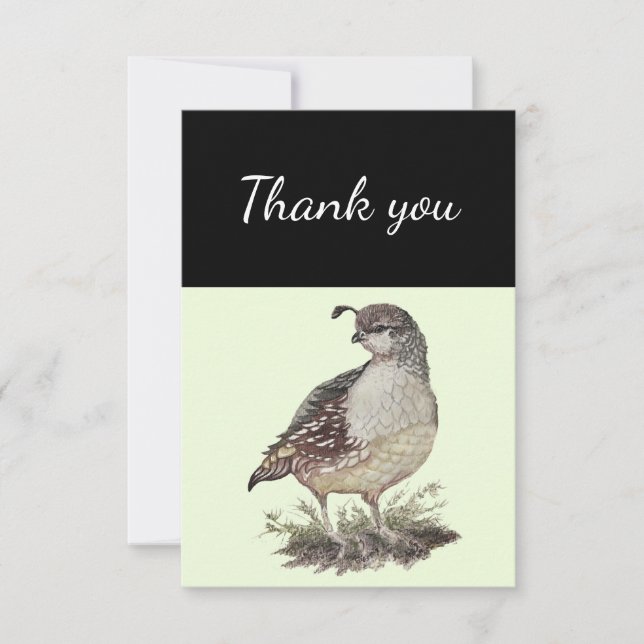Vielen Dank, California Quail Bird Nature Art Dankeskarte (Vorderseite)