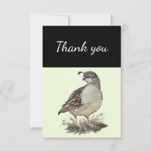 Vielen Dank, California Quail Bird Nature Art Dankeskarte