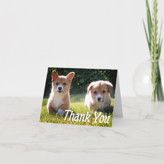 Vielen Dank, Corgie ( Pembroke ) Welpe Hund Note C Dankeskarte (Vorderseite)