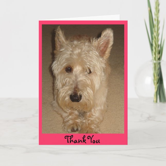 Vielen Dank Dankeskarte (Vorderseite)