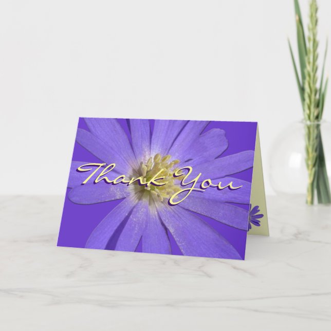 Vielen Dank, dass Sie die Blue Daisy Blume Cards p Dankeskarte (Vorderseite)