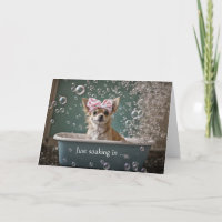 Vielen Dank, dass Sie Niedlich Chihuahua Welpe in