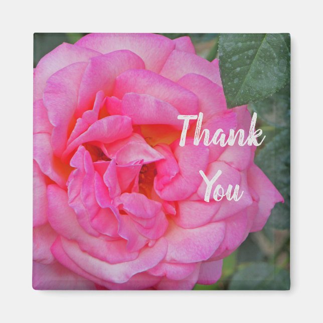 Vielen Dank, dass Sie Rose Bloom Foto Aufwertung. Magnet (Vorne)