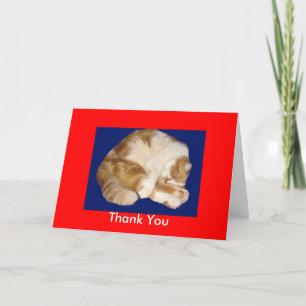 Vielen Dank, dass Sie sich um meine Kitty Card gek Dankeskarte