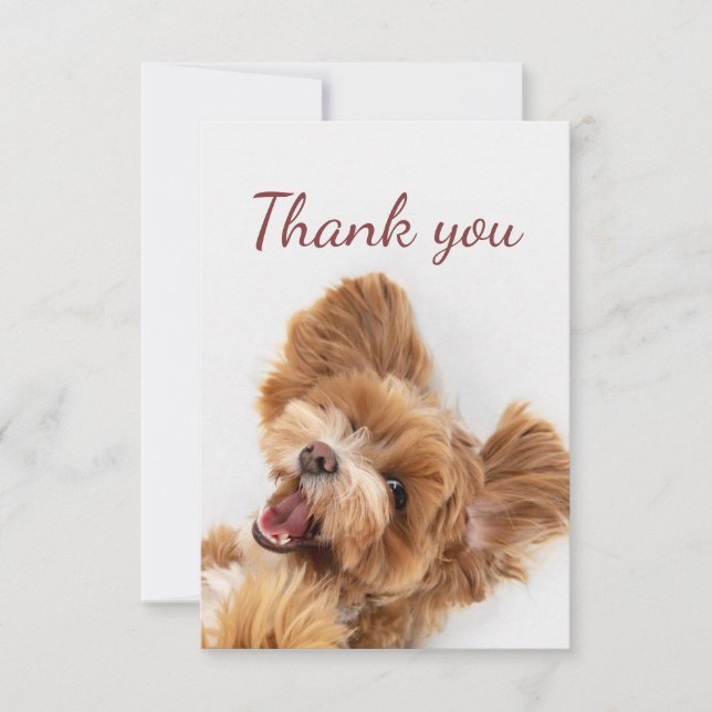 Vielen Dank, dass Sie Spaß Floofy Happy Welpe Hund Dankeskarte (Vorderseite)