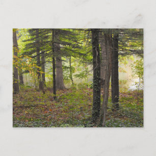 Vielen Dank, DSCF7047 Postkarte