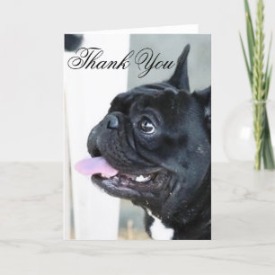 Vielen Dank, Französisch Bulldog Grußkarte Dankeskarte