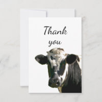 Vielen Dank Fun Curious Holstein Kuh Pinkeln aus