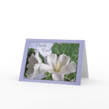 Vielen Dank für alle Gelegenheiten White Hibiskus 