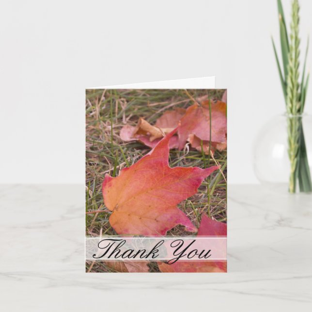 Vielen Dank für den Herbst Dankeskarte (Vorderseite)