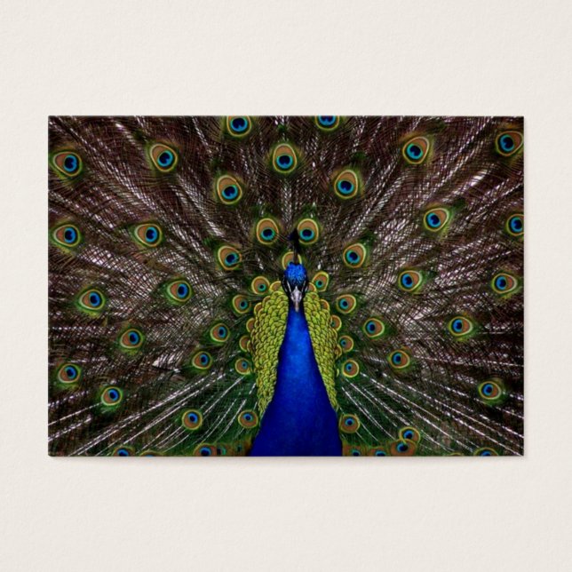 Vielen Dank für Ihr Geschenk Tag (Vorderseite)