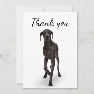 Vielen Dank für Ihr großes Dane Hund Tier  Dankeskarte