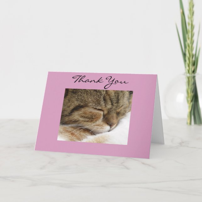 Vielen Dank für Ihre Cat Card Dankeskarte (Vorderseite)