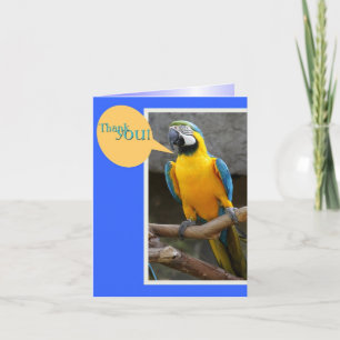 Vielen Dank für Ihre Nachricht von Parrot Dankeskarte