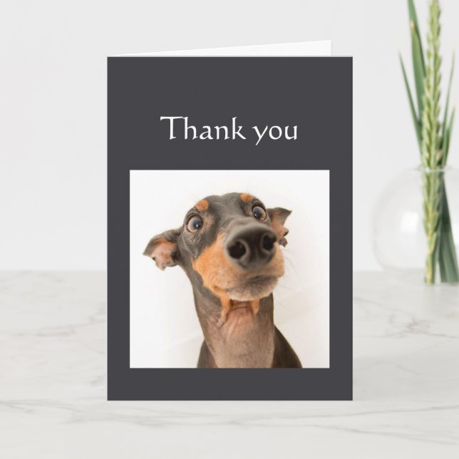 Vielen Dank hätte ohne euch Spaß Hund nicht gescha Karte (Vorderseite)