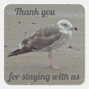Vielen Dank, House Guest Artistic Seagull Beach Zu Quadratischer Aufkleber