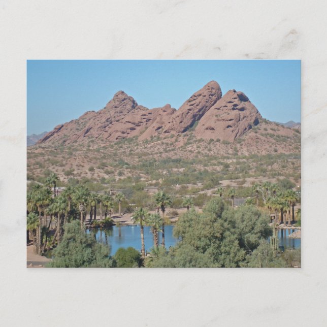 Vielen Dank, House Guest Desert Vacation Wertschät Postkarte (Vorderseite)
